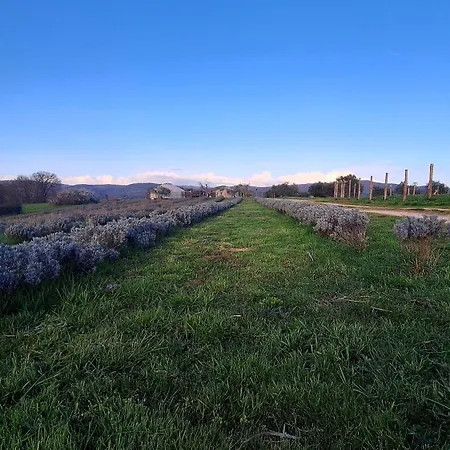2 Cuori E 1 Yurta Glamping In Tuscany - Adults Only Luxury tent *