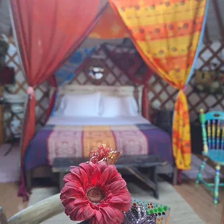 2 Cuori E 1 Yurta Glamping In Tuscany - Adults Only